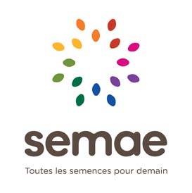 Semae