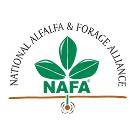 NAFALGO