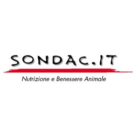 Sondac It